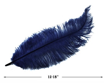 20 Pieces - 12-18" Navy Blue Mini Ostrich Spads Chick Body Feathers Halloween Costume Centerpieces Wedding Supplies : 3389