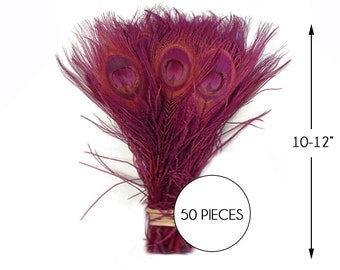 50 Pieces – Burgundy Bleached & Dyed Peacock Tail Eye Wholesale Feathers (Bulk) 10-12” Long Halloween Craft Supply : 1305