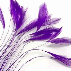 1 Dozen Purple Stripped Rooster Neck Hackle Eyelash Feather Millinery Fly Tying Costume Craft Supply : 398 image 2