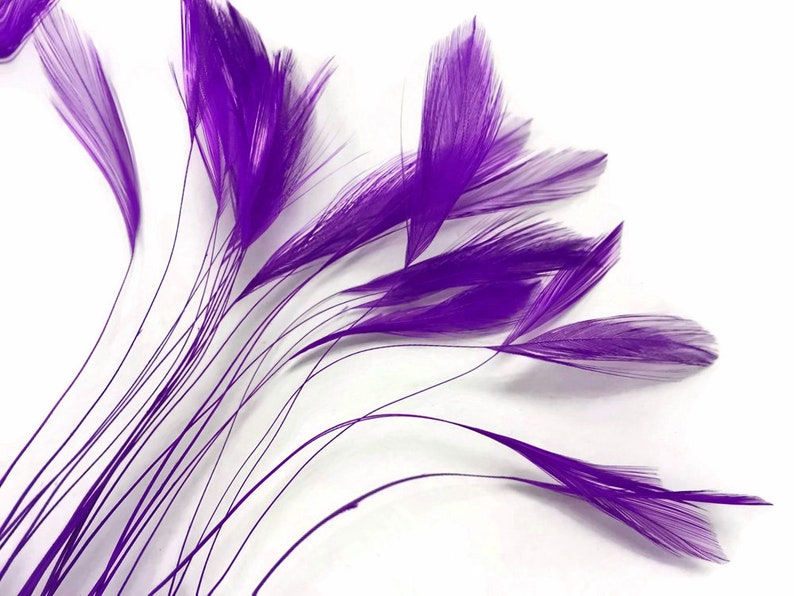1 Dozen Purple Stripped Rooster Neck Hackle Eyelash Feather Millinery Fly Tying Costume Craft Supply : 398 image 2