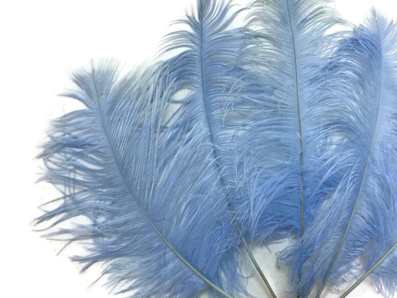 Boa de plumes d'autruche bleu clair 2 plis 2 mètres pour costume d'halloween artisanat bachelorette théâtre conception - France