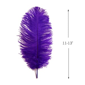 May include: A single purple ostrich feather, approximately 11-13 inches long.