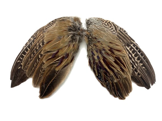 Natural Pheasant Wing & Feathers Dog Training Fly Tying Feather Native Art Craft Natural Pheasant Wing & Feathers Dog Training Fly Tying Feather Native Art Craft