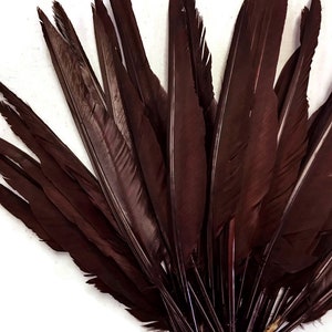 Wholesale Dark Feathers, 1/4 Lb. - Dyed Brown Duck Pointer Primary Wing Wholesale Feathers (Bulk) : 3791