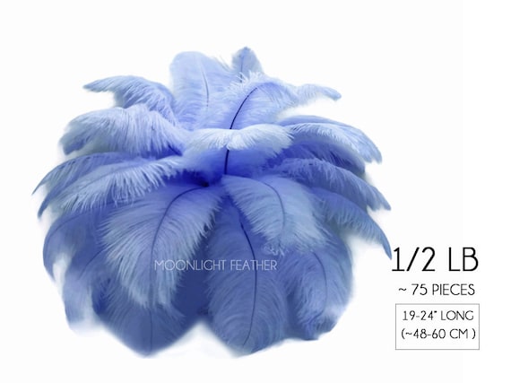 Ostrich Feathers 9-13/" Dark Brown Ostrich Feathers 1//2 Pound