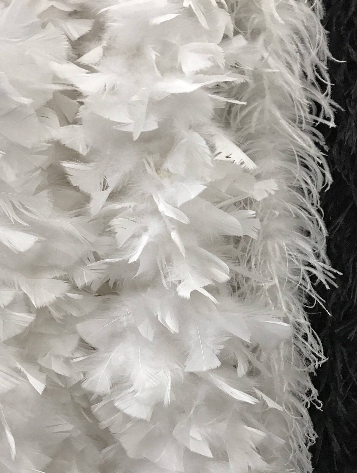 Bufanda de plumas natural para boda, chal de fita, accorio de Bufanda de plumas natural para boda, chal de fita, accorio de