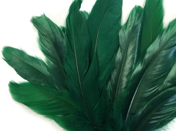 Green Goose Coquille Craft Feathers - Mini Pkg