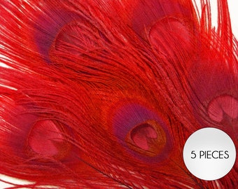 5 Pieces – Red Bleached & Dyed Peacock Tail Eye Feathers 10-12” Long Halloween Craft Supply : 265