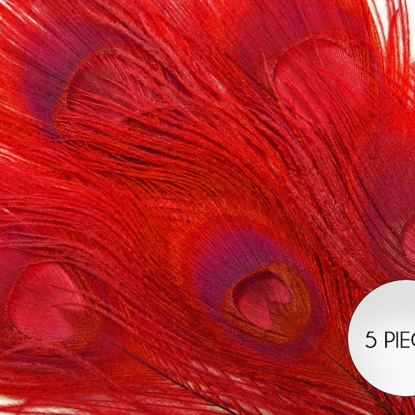 5 Pieces – Red Bleached & Dyed Peacock Tail Eye Feathers 10-12” Long Halloween Craft Supply : 265