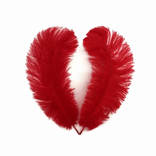 Ostrich Feathers, 100 Pieces - 11-13