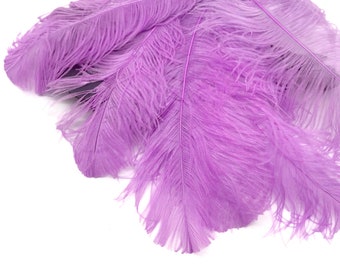 Violet Ostrich Feathers, 10 Pieces - 18-24" Lavender Large Prime Grade Ostrich Wing Plume Centerpiece Feathers : 3974