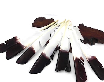 Eagle Feathers, 1/4 lb - Brown Tipped Turkey Pointers 'Imitation Eagle' Wing Wholesale Feathers (bulk) Halloween Wedding Cosplay : 3814