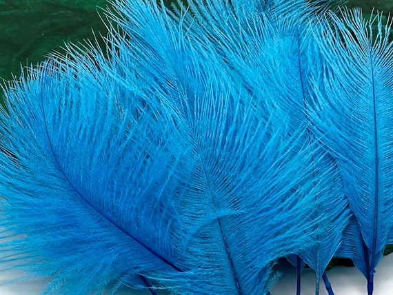 Mini Ostrich Feathers 1 Pack Turquoise Blue Ostrich Small 