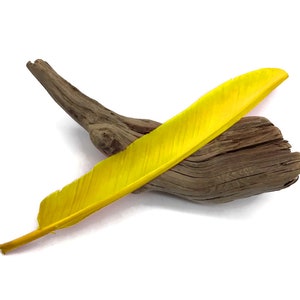 Puede incluir: Una pluma amarilla brillante descansa sobre un trozo de madera flotante desgastada sobre un fondo blanco. La pluma es larga y delgada, con un color vibrante y sólido. La madera flotante es de color marrón oscuro, con una superficie rugosa y texturizada.