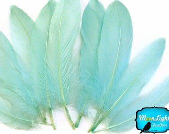 Aqua Goose Feathers, 1 Pack - AQUA GREEN Goose Satinettes Loose feathers 0.3 oz. : 2121