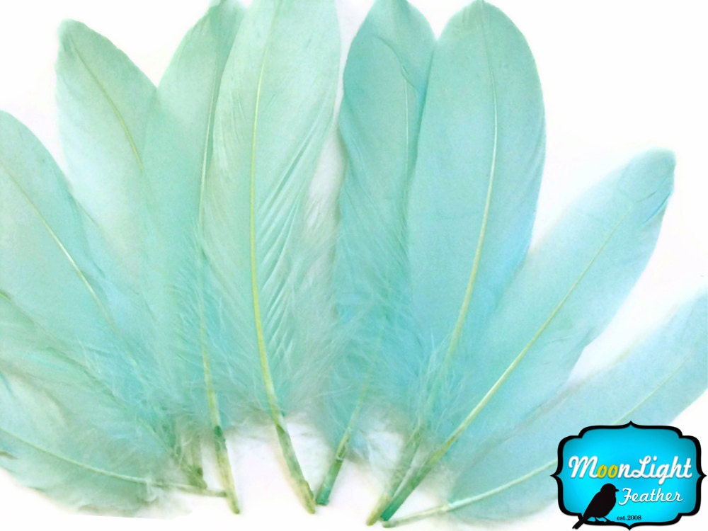 Wholesale Goose Feathers 1 4 Lb AQUA BLUE Goose Satinettes Loose Feathers bulk 3247 Etsy