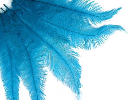  Moonlight Feathers  1 Pack - Mini Turquoise Blue Ostrich Small  Confetti Feathers 0.3 Ounces : Arts, Crafts & Sewing