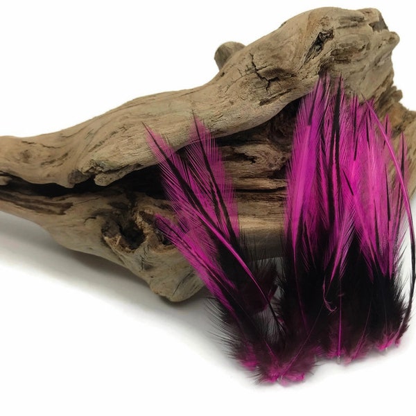 Fuchsia Laced Pointy Feathers, 10 Pieces - Hot Pink Dyed BLW Laced Short Rooster Cape Whiting Farms Feathers : 3345