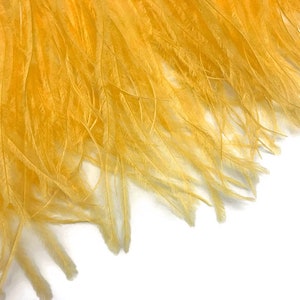 Ostrich Fringe Feathers, 6 Inch Strip Golden Yellow Ostrich Fringe Trim Feather : 3162 image 5