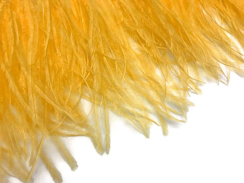 Ostrich Fringe Feathers, 6 Inch Strip Golden Yellow Ostrich Fringe Trim Feather : 3162 image 5
