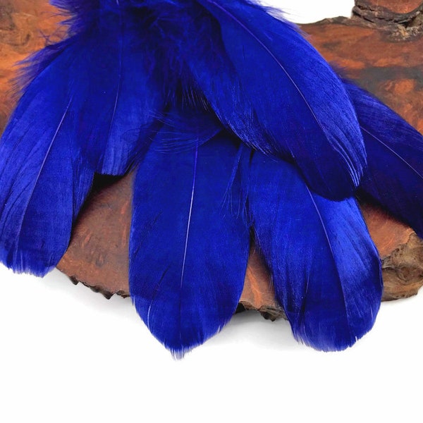 Fluffy Feathers, 1 Pack - Royal Blue Goose Nagoire Loose Feather - 0.25 Oz Craft Supply : 3756
