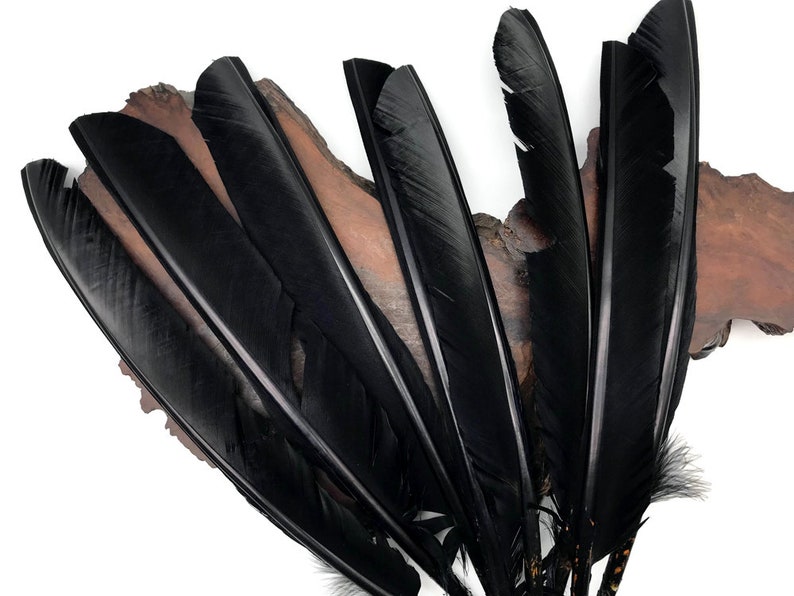 Turkey Wholesale Feathers 1/4 lb Black Turkey Primary Wing Etsy