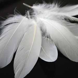 Grosshandel Ganse Federn 1 4 Pfund Ivory Goose Nagoire Etsy