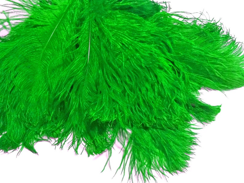 3498 10 Pieces Ostrich Feathers 12-16 Lime Green Dyed Ostrich Tail Fancy Feathers Centerpiece Craft Supplier