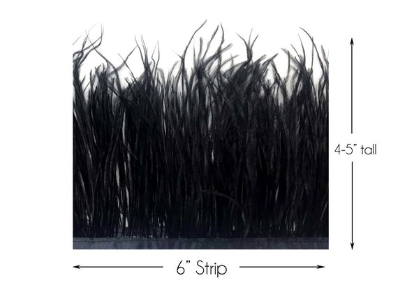 black ostrich feather fringe