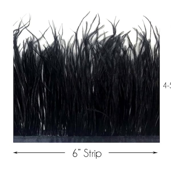 Black Ostrich Feathers, 6 Inch Strip - Black Ostrich Fringe Trim Feather Craft DIY Supply Sample : 240