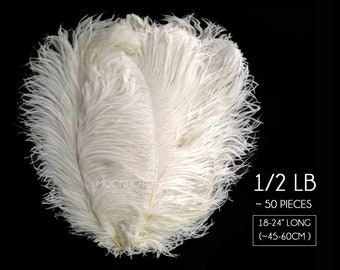 Wedding Centerpiece Feathers, 1/2 Lb. - 18-24" Off White Ostrich Large Wing Plumes Wholesale Feathers (Bulk) : 3148