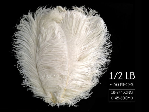 1/2 lb - 18-24 BLACK Large Wing Plumes Wholesale Feathers (bulk