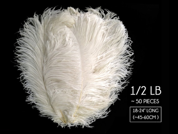 Wedding Centerpiece Feathers 1 2 Lb. 18 24 off White Ostrich
