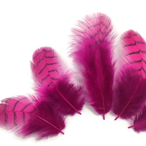 Small Feathers, 10 Pieces - Hot Pink Dyed Gray Partridge Small Plumage Feathers : 4110