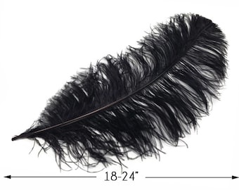 Ostrich Plumes, 10 Pieces - 18-24" Black Large Prime Grade Ostrich Wing Plume Centerpiece Feathers : 3317