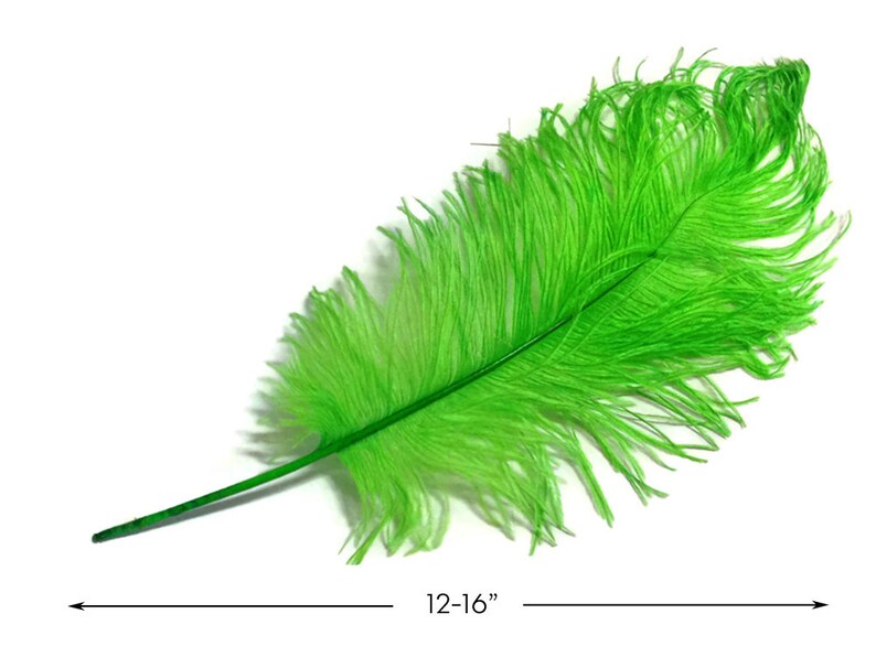 3498 10 Pieces Ostrich Feathers 12-16 Lime Green Dyed Ostrich Tail Fancy Feathers Centerpiece Craft Supplier