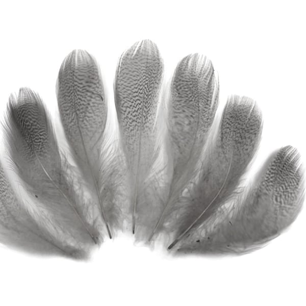 1 paquet - plumes de flanc de canard colvert gris platine 0,10 oz. Bijoux Fly Tying Craft Supply: 3648