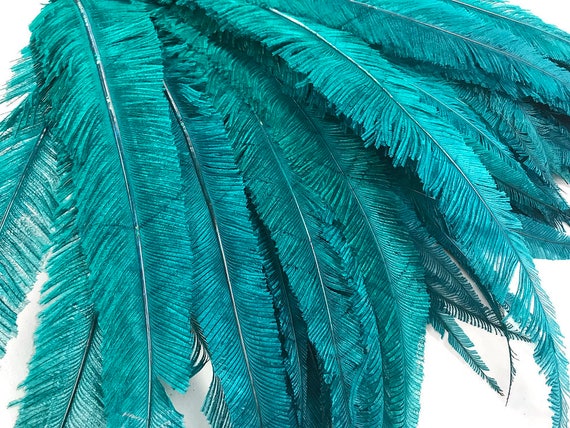 teal ostrich feathers