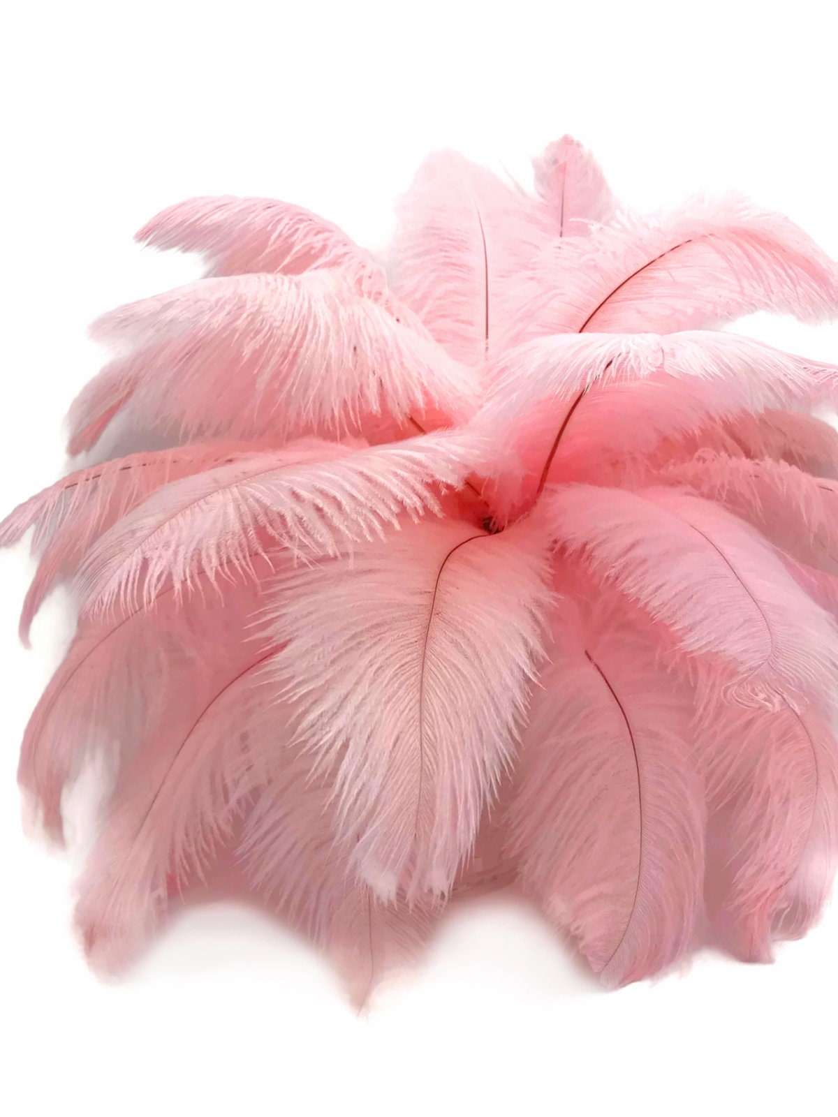 1/2 Lb - 17-19 Baby Pink Ostrich Large Drab Wholesale Feathers (Bulk)