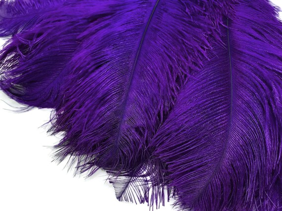 Purple Ostrich Plumes/ Feathers