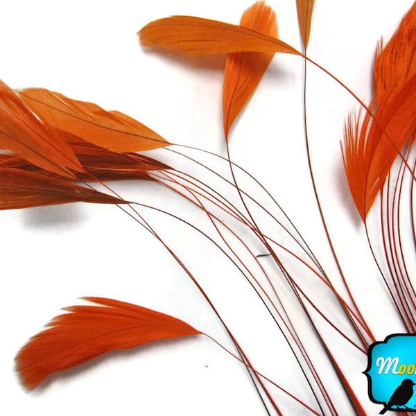 Stripped Feathers, 1 Dozen - ORANGE Stripped Rooster Coque Tail Feathers : 529