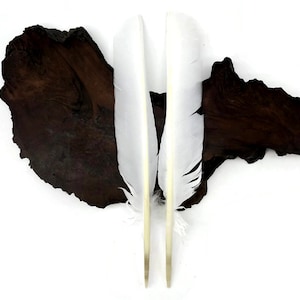 以下が含まれることがあります： 濃い茶色の木の背景に、自然な茶色の羽根を持つ白い羽根が2本、縦に並んでいます。
