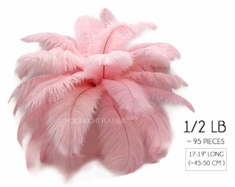 1/2 lb - 17-19" Baby Pink Large Ostrich Drab Plumage Wholesale Feathers (bulk) Mardi Gras Carnival Wedding Supplier : 1491