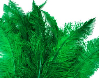 Plumas de Mardi Gras, 10 piezas - 20-28" Plumas de avestruz verde esmeralda para centros de mesa de boda (suministros: 3796)