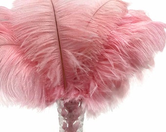 Ostrich Feathers, 10 Pieces - 6-8" Light Pink Ostrich Dyed Drabs Body Plumage Feathers Craft Supplier : 1373