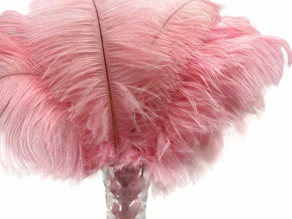 Ostrich Feathers, 10 Pieces 6-8 Light Pink Ostrich Dyed Drabs Body