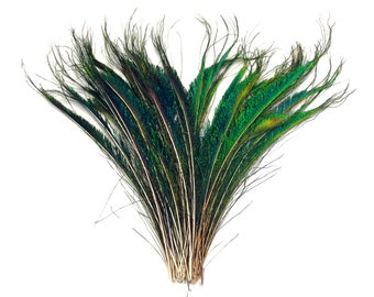 VENDEDOR DE EE. UU., 50 piezas - Plumas de pavo real verde iridiscente natural de 25-30 cm cortadas al por mayor (al por mayor) Suministros para atado de moscas, disfraces y manualidades: 3248