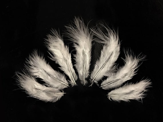 USA SELLER Solid Lime Green Rooster Fluff Chickabou Feathers 1 Dozen