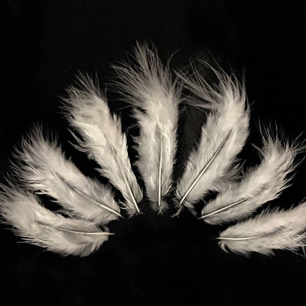 Fluffy Feathers, 1 Dozen - Solid Ivory Rooster Fluff Chickabou Feathers : 550