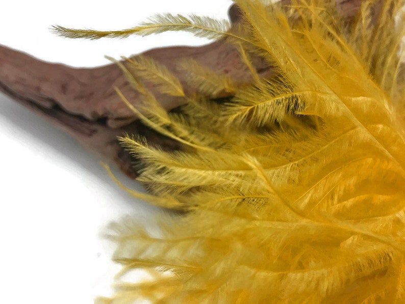 Ostrich Fringe Feathers, 6 Inch Strip Golden Yellow Ostrich Fringe Trim Feather : 3162 image 3